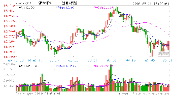 中国上市的股份公司再融资的具体要求