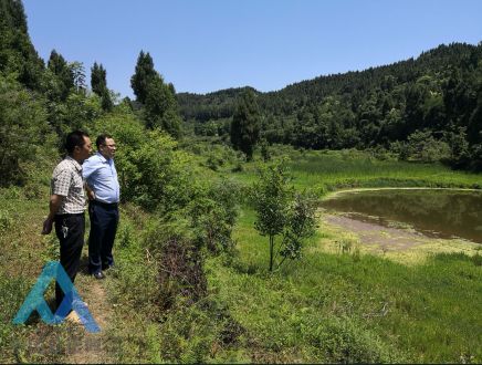 四川南充顺庆顺河乡