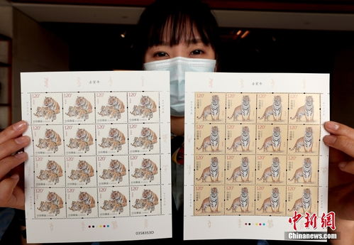 壬寅年 特种邮票正式发行凤凰网吉林 凤凰网 