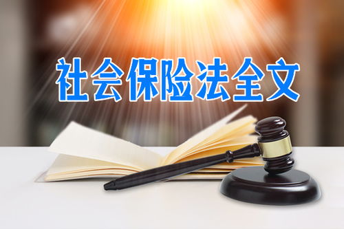 工会在维护职工社会保险权益中有哪些职权(社会保险法是国家通过)