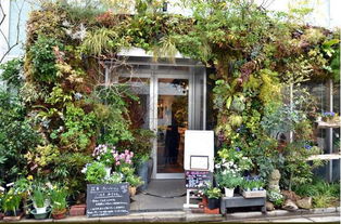 开个普通小花店赚钱吗,盆栽花店利润有多大？