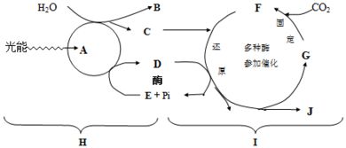 草原生态系统与森林生态系统相比，后者抵抗力稳定性较强，为什么？