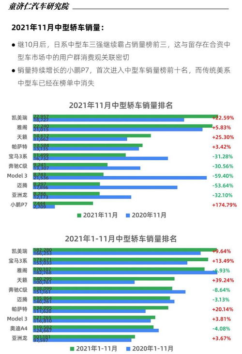 查重系统市场分析报告：哪款查重工具最受欢迎？