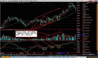 股票高抛低吸做t后，账面成本是变高还是变低？为什么？