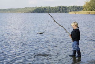 梦见要去钓鱼领着孩子没过去河(梦见陪孩子钓鱼)