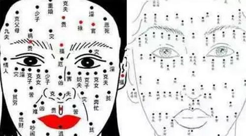 女人脸上的痣图解 不同位置意义不同 痣的分类 