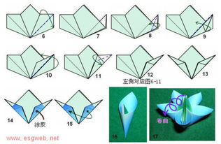 折纸, 请问这个是怎么折出来的,要图解 
