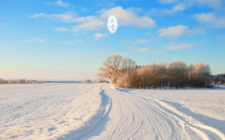 大雪节气以后，农田可以耕地吗有什么利弊(大雪节气农谚)