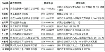 山东师范大学成人高等教育本科毕业论文模板