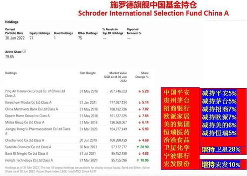 持仓股票为什么卖不出