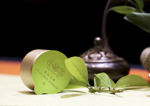 品牌化的茶,为什么是杜国楹的小罐茶