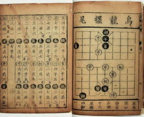 洞悉棋道的 借用法则 , 棋理都是生活经验