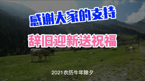 感谢大家一年的陪伴,鼓励与支持,辞旧迎新之际,祝福大家节节高