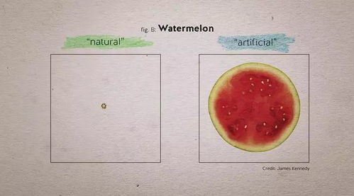 食物进化 为什么被誉为迄今为止最好的转基因纪录片 科学加