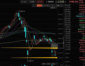 怎么要从股票池中精选出要操作的股票