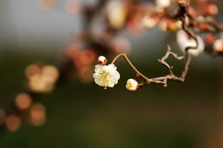 2019过年立春是好是坏 除夕当天立春是两头春吗