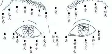 男女面部痣相吉凶大全 最权威准确的凶痣 吉痣 好痣坏痣查询