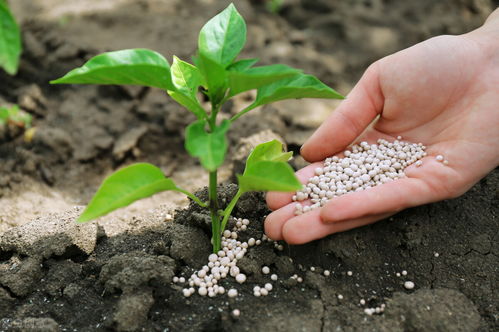 汇林优品 有机肥和化肥混用,对土地有影响吗