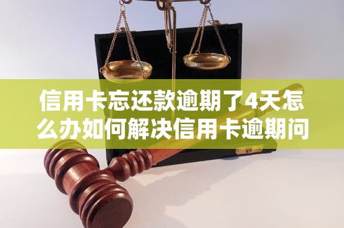 信用卡逾期6天忘记还了怎么办(信用卡逾期了5天怎么补救)