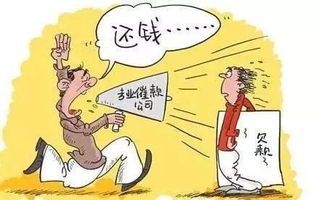 凉凉 贵州这伙 律师 不打官司而是做这种事