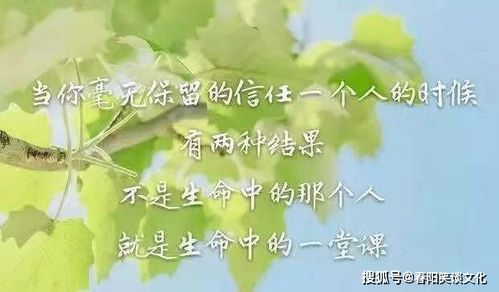 最新人生哲理感悟句子,字字透彻,每一句都是前辈智慧的结晶