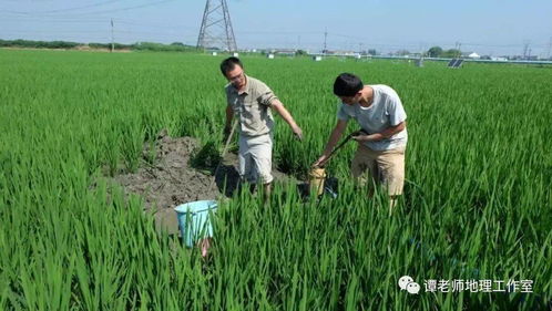 肥沃土壤的特征