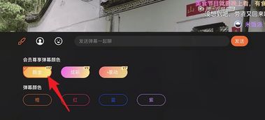 腾讯视频弹幕彩色字体怎么弄 彩色字体该怎么设置