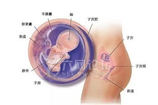 原创怀孕后，孕妈这3种症状，可能是胎儿在“提醒”孕妈该吃饭了