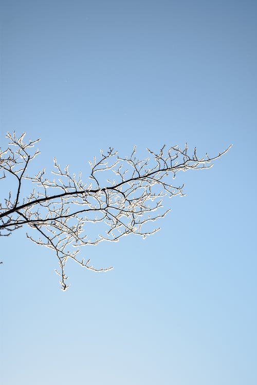 摩羯座 水瓶座 双鱼座明日运势 2021.01.22