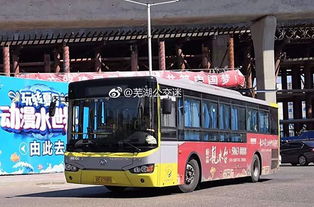 重庆公交车坠江前8人刷卡上车3张是老人卡,司机驾龄24年