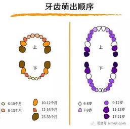 盏登时糜子脑畔眼眶造句-盛产的近义词？