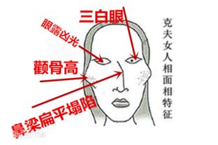 克夫相特征 哪些女人最克夫 