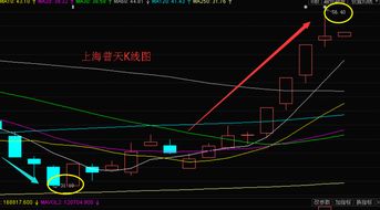 沉睡的狮子终于醒了,上海普天 或持续飙升暴涨