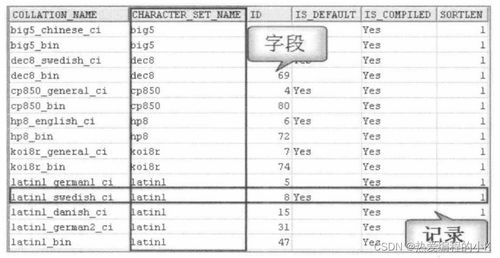 表格查重不再难：详细步骤与实用技巧