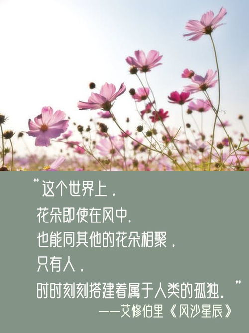 捻造句子,心花摇曳的句子？