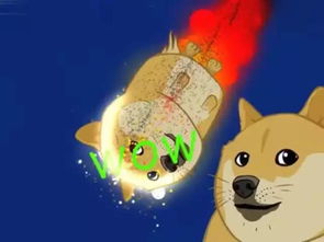 动摇哈士奇犬界地位的竟是日本柴犬,简直太魔性了