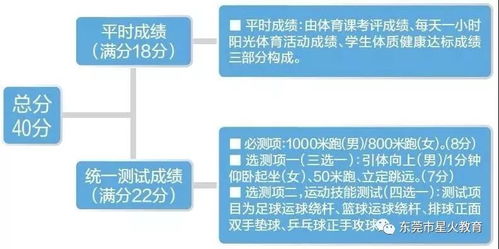 中考体育100分 比物理 化学还多30分 东莞会这样吗