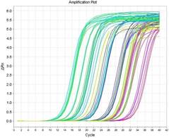 什么是real-time-PCR(实时荧光定量PCR)？