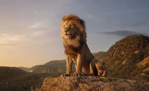 号称儿童励志电影1994版狮子王其实并不适合小朋友观看