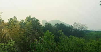 雨中龟峰,山上开满映山红