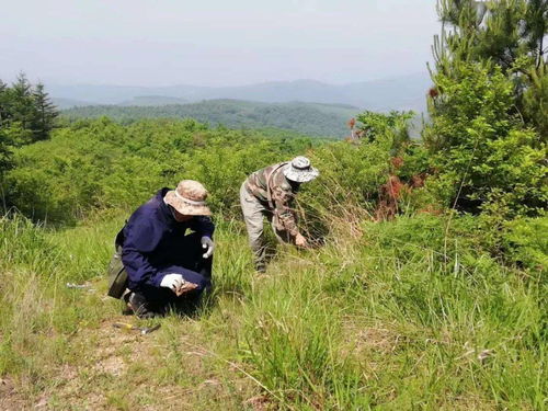 考古就是 掘墓 一辈子寻不到矿,读冷门专业要吃多少苦