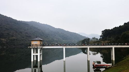 黄埔区水声水库,曾是钓友们的天堂,即将成为广州市内最美绿道