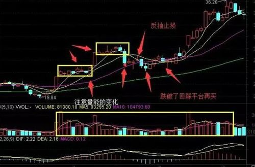 资深退役操盘手罕见发文 在最高6124点买入的股票,结局往往只有两种,越看越心惊胆颤