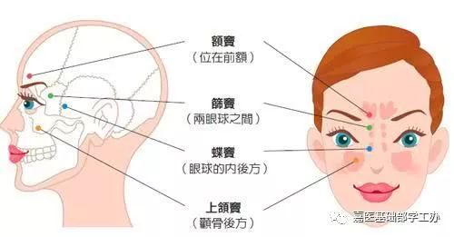 鼻窦炎是鼻窦炎,鼻炎是鼻炎,它们不一样