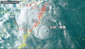 第14号台风 摩羯 即将登陆浙江,又恰逢天文大潮, 风 雨 潮三碰头 狂风巨浪暴雨又要袭向华东.....