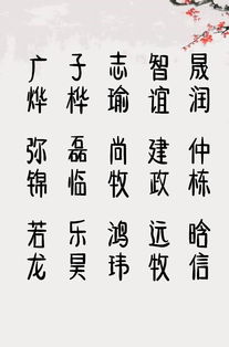 特别好听的男孩名字贾师傅起名改名 