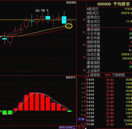 麻烦高手介绍几只中小盘股票？