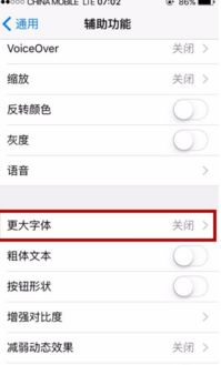 苹果手机屏幕怎么设置字体 