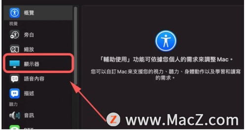 iPhone 手机 Mac 屏幕画面变黑白的如何解决