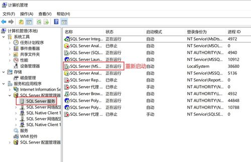 mssql数据库(如何备份和恢复MSSQL数据库)